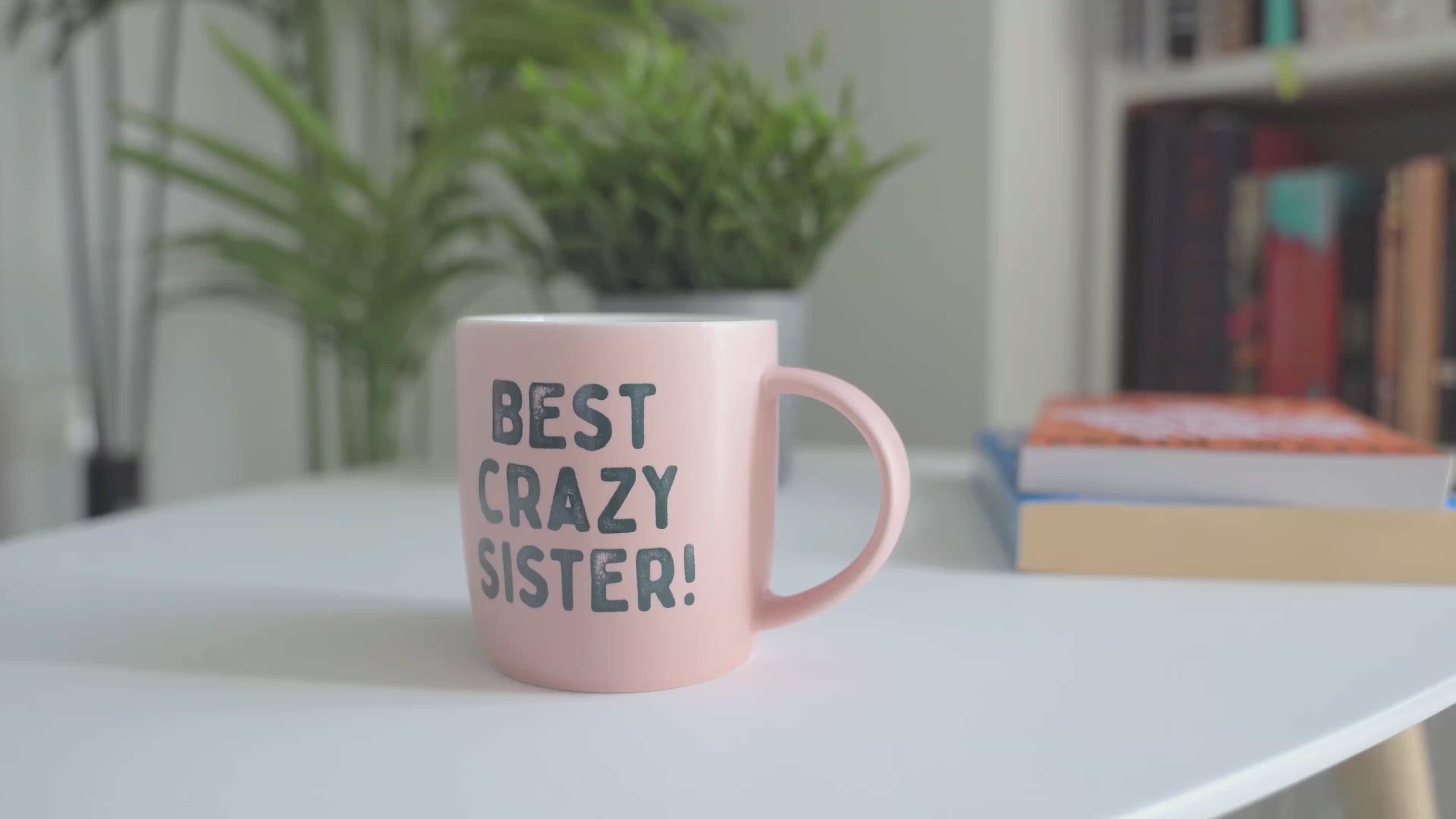 Best Crazy Sister Ever Coffee Mug